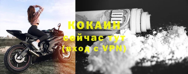мдпв Володарск