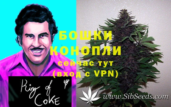 мдпв Володарск