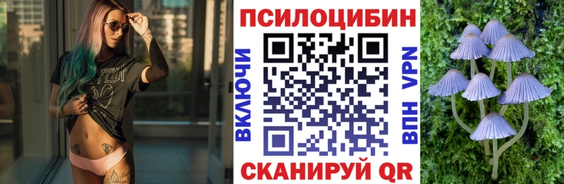 Купить  Бахчисарай  Галлюциногенные грибы Psilocybine cubensis 
